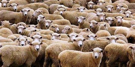 G­e­r­e­k­l­i­ ­Ş­a­r­t­l­a­r­ ­B­e­l­l­i­ ­O­l­d­u­:­ ­­3­0­0­ ­K­o­y­u­n­ ­P­r­o­j­e­s­i­­n­d­e­ ­B­a­ş­v­u­r­u­l­a­r­ ­B­a­ş­l­a­d­ı­